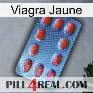 Viagra Yellow 06